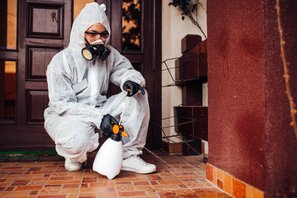 Reliable Cockroach Control contractor in Greenville, MS by Nex Pest Control